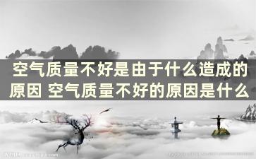 空气质量不好是由于什么造成的原因 空气质量不好的原因是什么